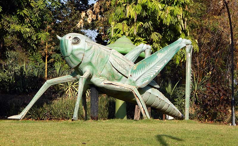 NTR Garden Hyderabad