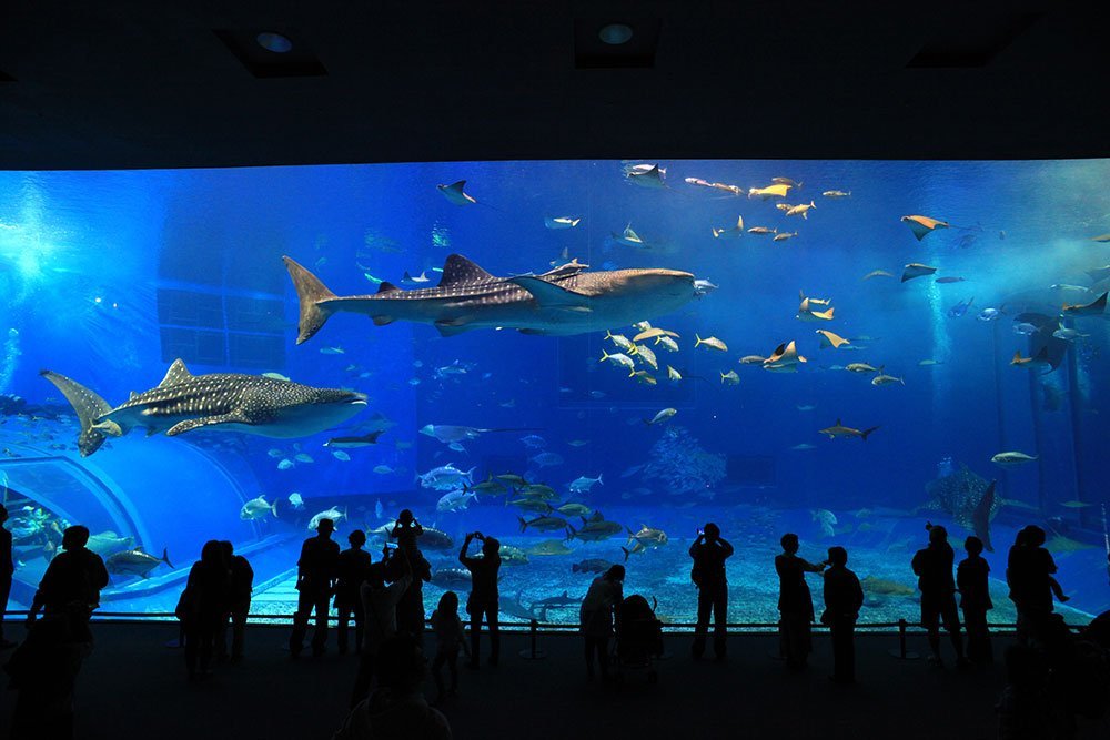 KLCC AQUARIUM