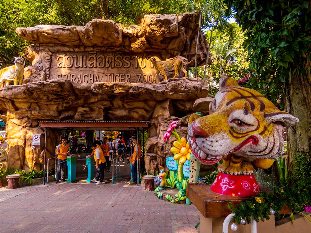 Sriracha Tiger Zoo THAILAND